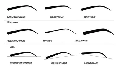 ≡ Секрет идеальных бровей или как построить форму бровей — блог Naomi24.ua