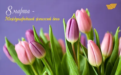 Поздравляем всех с 8 марта! Весны, тепла и красоты!