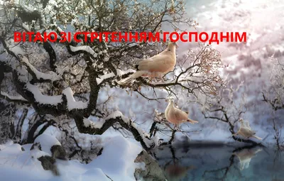 15 февраля 2015 · Сегодня – православный праздник Сретение Господне · Точка  зрения · ИСККРА - Информационный сайт «Кольский край»