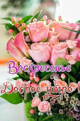 ВОСКРЕСЕНЬЕ! 💖🌸🦋💐🌺🌿🦋🌸 ПРЕКРАСНОГО ДНЯ! 💖 | Открытки, Красивые  цветы, Воскресенье