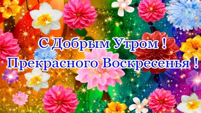 САМОГО ПРЕКРАСНОГО, ХОРОШЕГО ВАМ ВОСКРЕСЕНЬЯ. КРАСИВЫЕ ПОЖЕЛАНИЯ С  ВОСКРЕСЕНЬЕМ. МУЗЫКАЛЬНАЯ ВИДЕО ОТКРЫТКА | Поздравления,открытки,пожелания  | Дзен