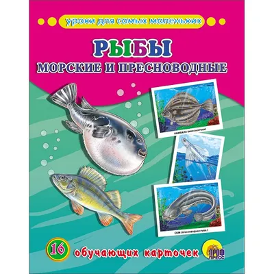 Плакат(Проф) Рыбы морские и пресноводные | EAN 9785378173723 | ISBN  978-5-378-17372-3 | Купить по низкой цене в Новосибирске, Томске, Кемерово  с доставкой по России