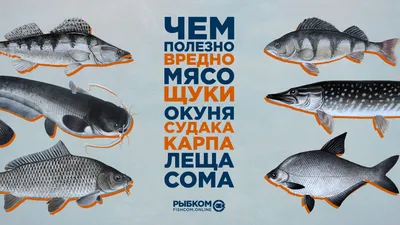 Редкие рыбы россии - 73 фото