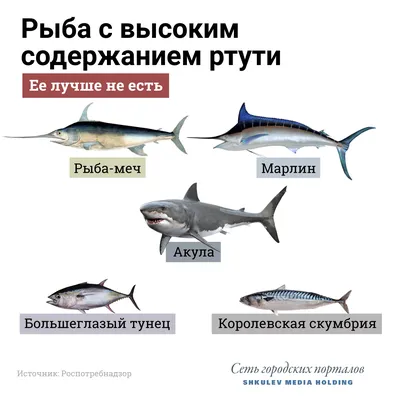 Щука - речная царица - Fishmarket - супермаркет рыбы