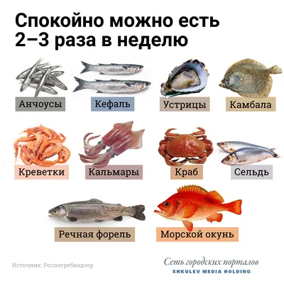 История рыбного ассортимента - Fishmarket - Морские рыбы