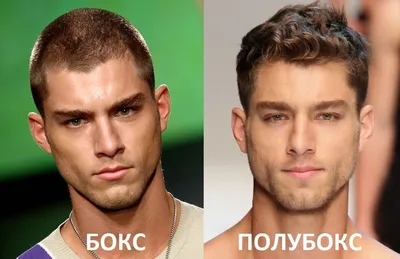 Barbershop Borodach Reutov - \"Ежик\", \"бокс\" и \"полубокс\" - эти модные  мужские стрижки на короткие волосы не теряют своей актуальности из-за  простоты и практичности такой прически. | Facebook