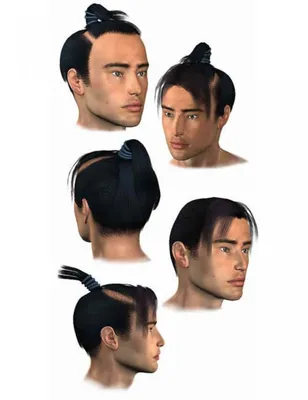 Samurai Hair M3 | Samurai, Hair, Poser