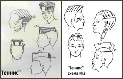 Мужская стрижка теннис: варианты короткой стрижки для мужчин, схема  выполнения, видеоурок, фото