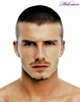 Модные мужские стрижки 2017 на короткие волосы | Beckham hair, David  beckham hairstyle, Mens hairstyles short