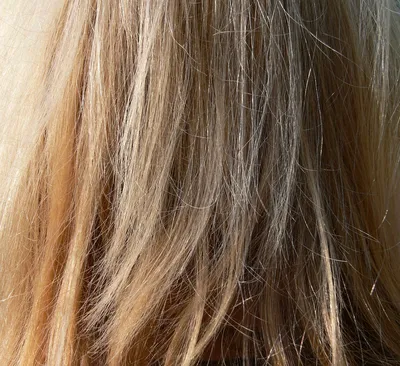 Волосы на заколках прямые мелированые карамельный блонд. Накладные волосы  на клипсах 27Н613#. Термоволосы (ID#1017045426), цена: 500 ₴, купить на  Prom.ua