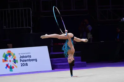 Сколько стоит отдать дочь на художественную гимнастику - Чемпионат