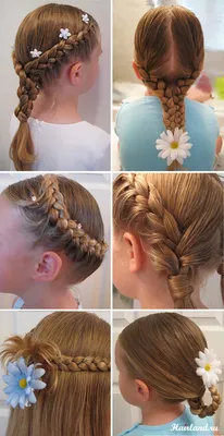 Купить Синтетические плетеные волосы XINRAN Ombre Jumbo Braids для детей |  Joom