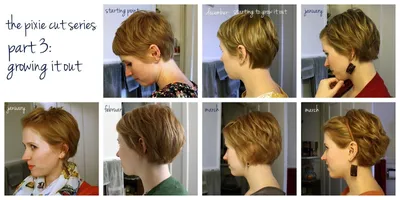 Переходные стрижки для отращивания волос (50 лучших фото)