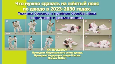 Пояса в дзюдо. Жёлтый пояс 5 кю. Техника приёмов. | Judo, Yellow belt, Jiu  jitsu techniques