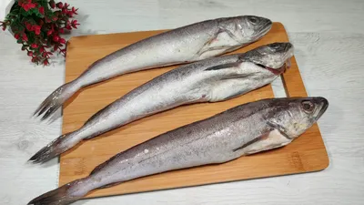Рыба в духовке (простой рецепт) - пошаговый рецепт с фото на Повар.ру