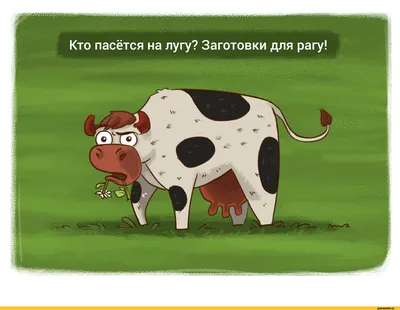 Самые необычные породы коров в мире, подборка от ФГУП «Центр Агроаналитики»  - Уралбиовет