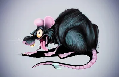 Мышки и мышата | ВКонтакте