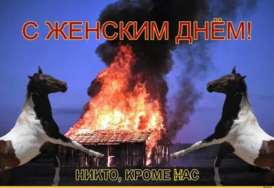 Кружка \"надписи приколы 8 марта дорогой теще от любимого зятя - 9499\", 330  мл - купить по доступным ценам в интернет-магазине OZON (519196691)