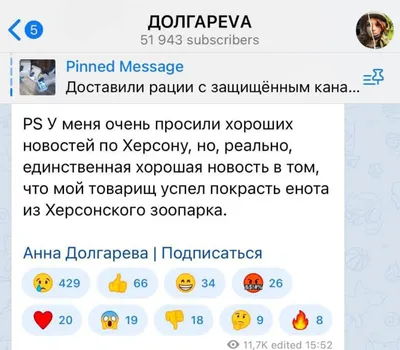 Меми про єнота, якого росіяни вкрали у Херсоні | Українська правда _Життя