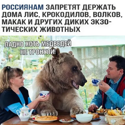 Сумка-шоппер CoolPodarok Прикол. Медведь в шапке ушанке. Я русский |  AliExpress