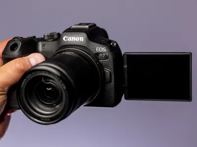 Фотографы показали примеры снимков, сделанных на новые камеры Canon EOS R7  и EOS R10 | Новости | Фото, видео, оптика | Фотосклад Эксперт