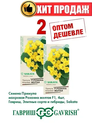 Примула Зибольда Snow Queen Primula sieboldii Snow Queen - купить сорт в  питомнике, саженцы в Санкт-Петербурге