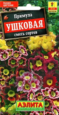 🌱 Примула (Первоцвет) мелкозубчатая Lilac по цене от 525 руб: рассада,  саженцы - купить в Москве с доставкой - интернет-магазин Все Сорта