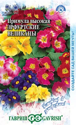 🌱 Примула (Первоцвет) весенняя по цене от 1260 руб: саженцы, рассада,  крупномеры - купить в Москве с доставкой - интернет-магазин Все Сорта