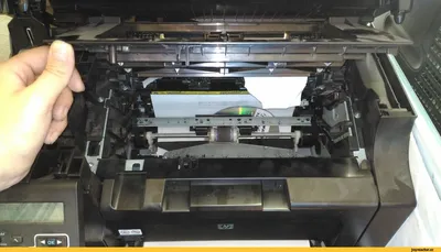 Принтер HP двоит изображение ремонт в Краснодаре — KRDprint