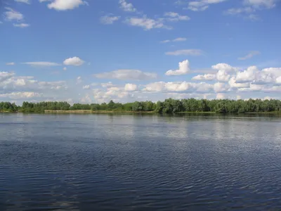 Припять (река) — Википедия