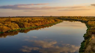 Река Припять (75 фото) - 75 фото