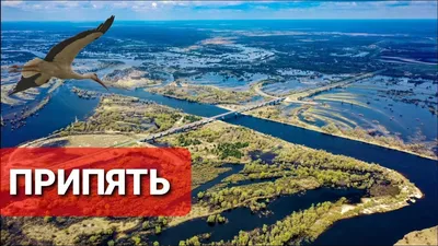 Река Припять - фото и видео достопримечательности Беларуси (Белоруссии)