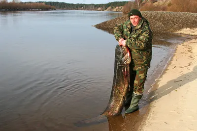 Река Припять: описание, притоки, где находится на карте со спутника, рыбалка
