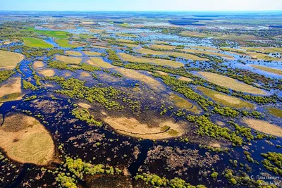 Полесская Амазонка, или Как разливается река Припять | Планета Беларусь
