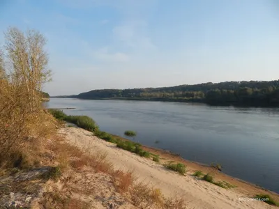 Искупался в реке Припять. Подвал медсанчасти 126. Самое радиоактивное место  в Чернобыле - YouTube