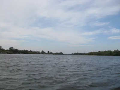 Уровень воды в реке Припять приблизился к опасной отметке - Жыцце Палесся