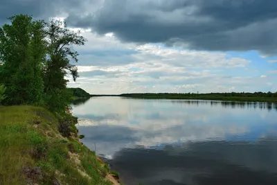 Кафе \"Припять\" на берегу одноименной реки в городе с таким же названием |  Пикабу