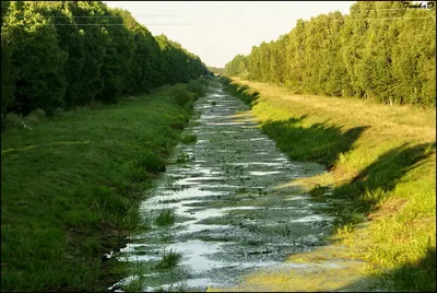 Ловля жереха на спиннинг ранней весной на реке Припять — Сообщество «Охота  и Рыбалка» на DRIVE2