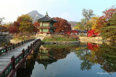 Южная Корея природа (54 фото) - 54 фото