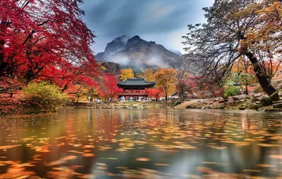 Осень в Корее (52 фото) - 52 фото