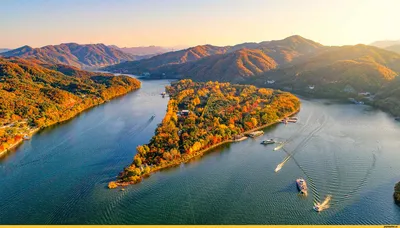 Namiseom (Nami Island), Южная Корея / Южная Корея :: остров :: парк ::  страны :: фото :: деревья :: аллея :: пейзаж :: Природа (красивые фото  природы: моря, озера, леса) / смешные