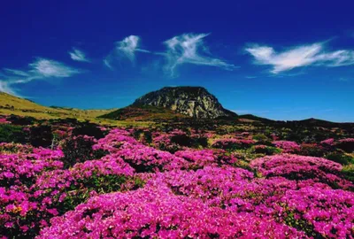 Сценарная природа Южной Кореи Стоковое Изображение - изображение  насчитывающей неровно, пейзаж: 124966613
