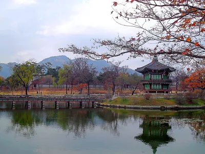 Корейский пейзаж с цветущим садом, …» — создано в Шедевруме