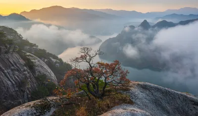 Республика Корея Природа Пейзажи В - Бесплатное фото на Pixabay - Pixabay
