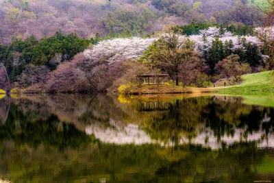 Картинка Южная Корея Seoraksan National Park Мосты Природа 2560x1769