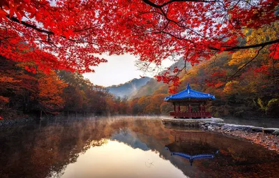 Остров Чеджу и его чудеса: Природные сокровища Южной Кореи | О! Корея | Дзен