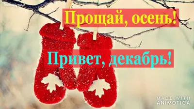 Живые , мудрые открытки. | Привет,декабрь) | Дзен