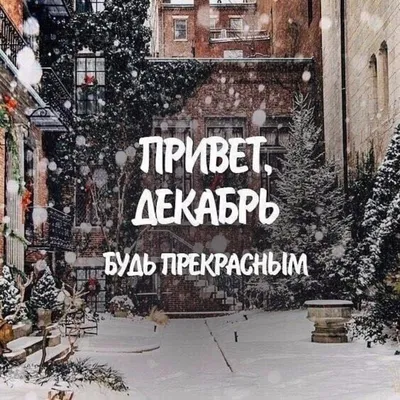 Hello december Стоковые фотографии, картинки, все без лицензионных  отчислений - Envato Elements