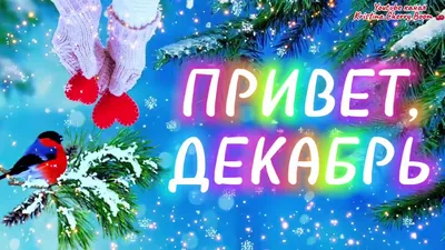 ПРИВЕТ ДЕКАБРЬ ☃️ Супер Поздравление С Первым Днём Зимы ❤️ С Началом Зимы  Открытка! Счастливой Зимы - YouTube