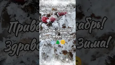 🩵 Привет, декабрь❄️ | Instagram